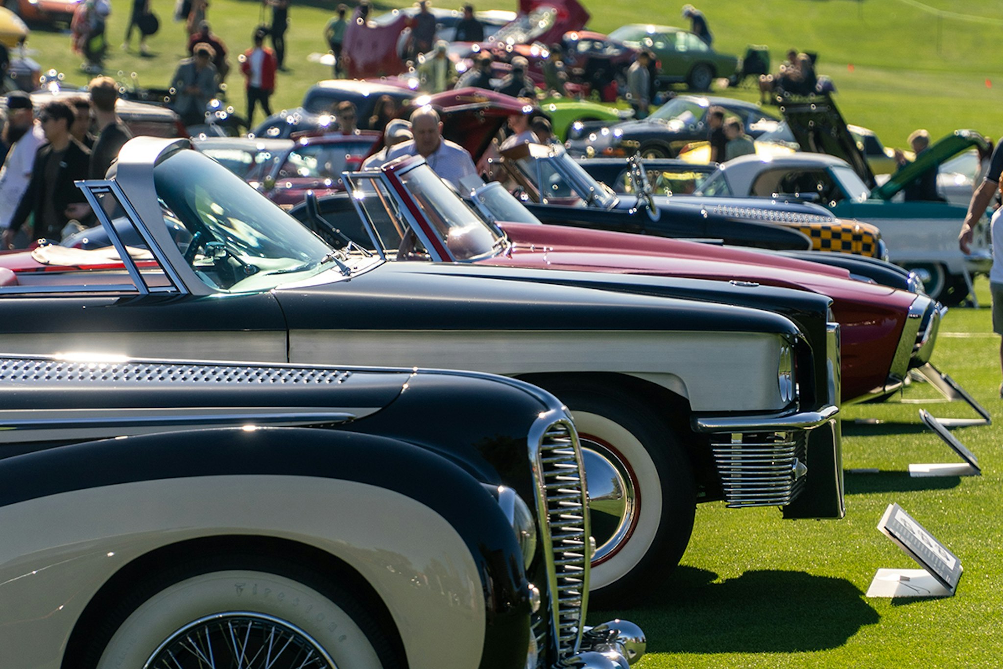 Show cars lined up at Concours 2023